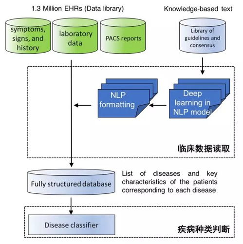 中國AI登上Nature子刊 讀懂病歷、推薦診斷，準確度超越人類醫生
